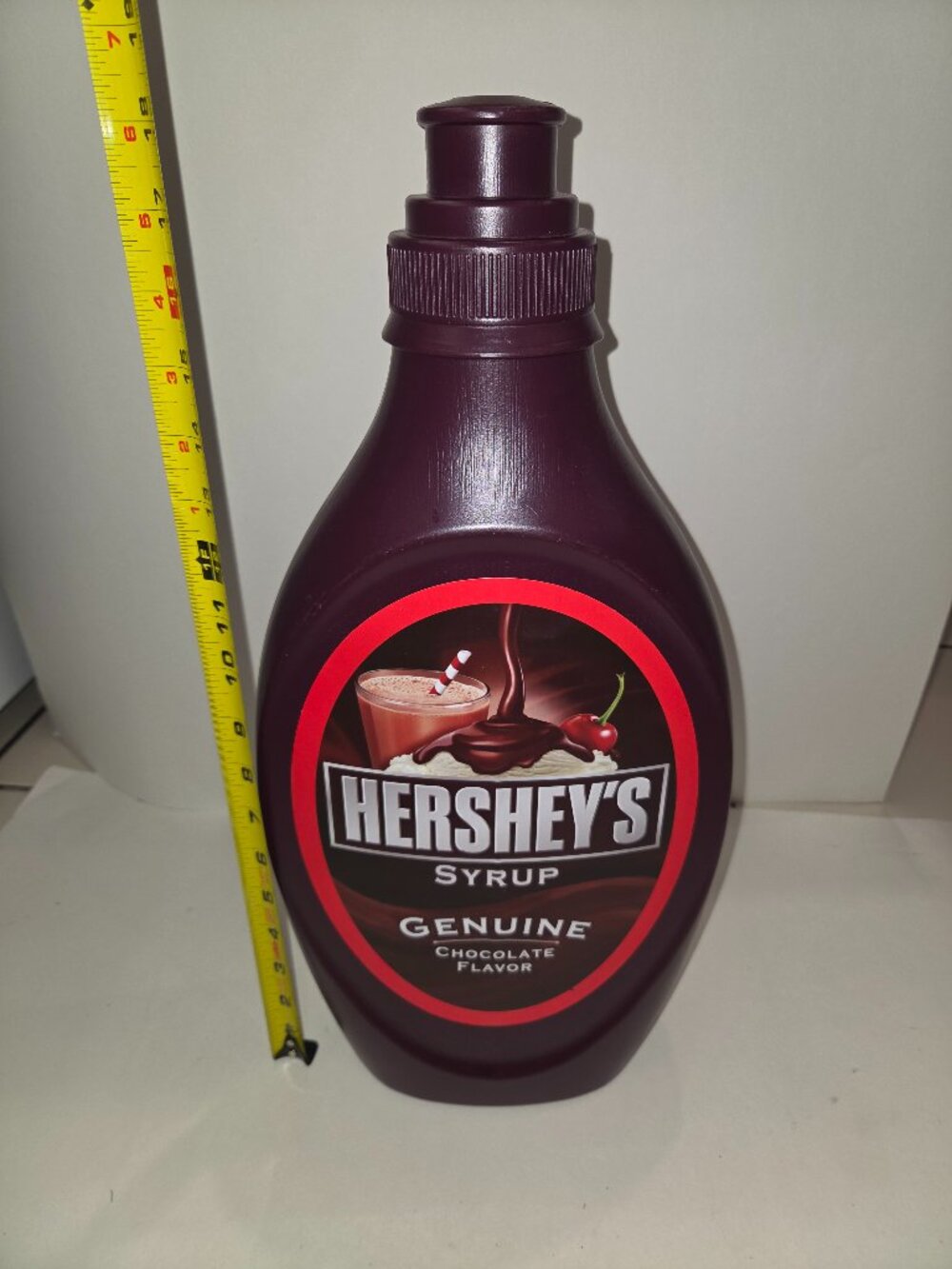 Hershey's Genuine Chocolate Flavor Syrup 18.5” Piggy Bank
